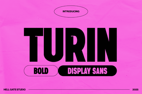 Turin: Bold Display Sans for Unforgettable Branding
